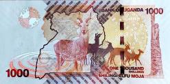 UGANDA 1000 Şilin, 2021 ÇİL