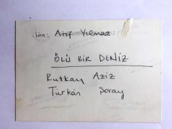 Türkan Şoray'ın Orijinal Fotoğrafı, ''Ölü Bir Deniz'' Filminden Rutkay Aziz İle Denizde - 1960'lardan - 12 x 9 cm Ebadında