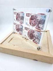 Cumhuriyetimizin 100. Yılı Darphane Baskılı TR100 000154 Seri Numaralı Koleksiyon Değeri olan Hatıra Para Seti