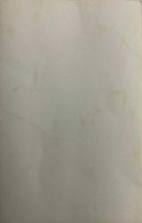 AYAKTA DURUP EL ELE TUTUŞAN 2 ERKEK KARDEŞ  FOTOĞRAFI,   ORİJİNAL SİYAH & BEYAZ, 14X9 EBADINDA - 1940'LAR, 1950'LER, 1960'LAR ve 1970'LER TÜRKİYE'SİNDEN NOSTALJİK DOĞUM GÜNÜ HEDİYESİ