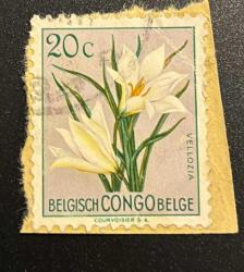 Belçika Pulu - Belgium Stamp - Mektup Zarfından Kesilmiş  / Postadan Geçmiş Pul Filateli - Damgalı - ÇİÇEK TEMALI BELÇİKA PULU , 20 PARA - YABANCI PULLAR -NOSTALJİK DOĞUM GÜNÜ HEDİYESİ