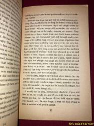 AGAINST THE STORM / GAYE HİÇYILMAZ / DELL PUBLİSHİNG / İNGİLİZCE KİTAP (FIRTINAYA KARŞI)