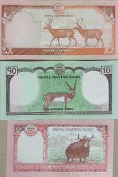 Nepal Çil Kondüsyonda Kağıt Para Lotu