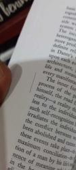 The Theory of the Novel