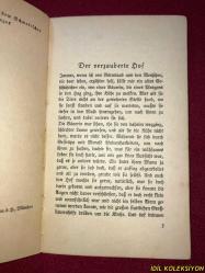 SELMA LAGERLÖF / DER VERZAUBERTE HOF UND ANDERE ERZAHLUNGEN / ALBERT LANGEN - GEORG MÜLLER VERLAG / ALMANCA KİTAP (BÜYÜLÜ AVLU VE DİĞER MASALLAR)