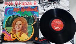 Neşe karaböcek büyük aşkların kaderi as plak lp