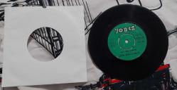 Zafer banu Hülya ağlama gönlüm seni gidi çapkın 45lik