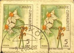 Türk Pulu - Turkish Stamp - Mektup Zarfından Kesilmiş  / Postadan Geçmiş İkili Pul Filateli - 5 Temmuz 1986 Damgalı - NERGİS ÇİÇEĞİ PULU, 5 LİRA - Türkiye Cumhuriyeti - NOSTALJİK DOĞUM GÜNÜ HEDİYESİ