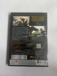 Ayı Lours Orijinal Dvd Film Yılmaz Video