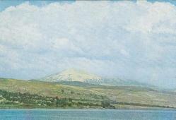 Van Muhtelif Görünüş