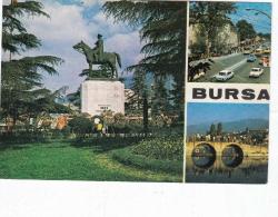 Bursa Muhtelif Görünüşler