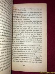 GARY PAULSEN / HATCHET / MACMILLAN CHILDREN'S BOOK / İNGİLİZCE KİTAP (BALTA)