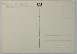 1970'ler Kadıköy Vapur İskelesi Umumi Görünümü, Kullanılmamış