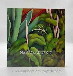 Nadide Akdeniz: 13 Aralık - 18 Ocak 2013-2014. Sunuş: Frank Gunter Zehnder. [Sergi kataloğu]