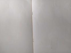 Kemalizm Atatürk Ülküsünün Bayraklaşan Adıdır Dergi Kapağı - Türkiye Selüloz ve Kağıt Fabrikaları İşletmesi Reklamı - Dergi Tam Değildir Sadece kapak kısmıdır