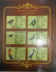 @@ 2019 Anadolu'ya Özgü Kuşlar Serisi @@