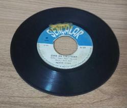 BEHİYE AKSOY-YALAN YILLAR