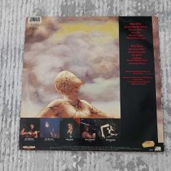 Testament (2) – Practice What You Preach LP