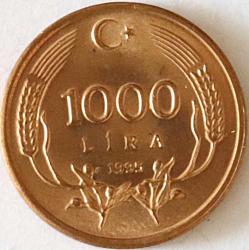 Türkiye Cumhuriyet 1995 Yılı 1000 Lira 6556
