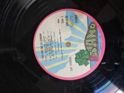 CAT STEVENS - TEA FOR THE TILLERMAN