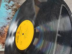 JIMI HENDRIX - THE CRY OF LOVE