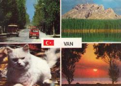 Van Muhtelif Görünüşler