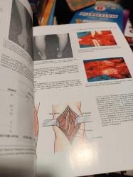 YOUMANS NEUROLOGICAL SURGERY / sıxth EDİTİON - (VOLUME 1 - 2 - 3 - 4) 4 CİLT TAKIM açıklamayı okuyunuz