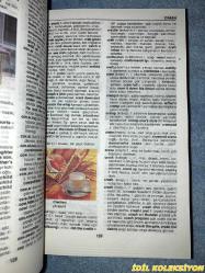 REDHOUSE INGILIZCE , TÜRKÇE - TÜRKÇE , İNGİLİZCE RESİMLİ SÖZLÜK / MİLLİYET /