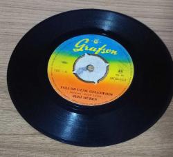 ZEKİ MÜREN-YOLLAR UZAK GELEMEDİM