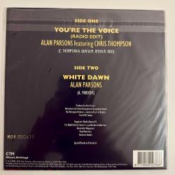 Alan Parsons Chris Thompson - You're The Voice (From The World Liberty Concert) (Rsd 2023) 45 lik Plak