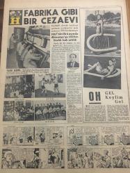 HÜRRİYET GAZETESİ 15 TEMMUZ 1967 YIL :20 SAYI :6900---Yunanistan ile Amerika Şimşek planı hazırlamış --Süveyş te  karşılıklı ateş teati ediliyor ---Londra da ki Kıbrıslı Türk aileleri kızlarını Türk e vermek için yarış ediyor ---U.Thant ın Özel temsilcisi Tafall Önümüzdeki Hafta Geliyor ---Dünyanın sonu geldi diyerek 25 kuruşa dua satan keçi sakallı Mustafa yakayı ele verdi ---B.B nin kocası villasının bahçesinde tabanca ile dolaşıyor ---Mersin  de hırsızlar bir stajyer polisi tabanca ile öldürüp kaçtılar ---Yangına karşı şehir de su depoları arttırılıyor ---Amerika da zenci -beyaz çatışması :225 yaralı var ---Denenen 132 futbolcudan 10 u beğenildi ---Demirel , güreşçilere birer kol saati hediye etti ---Fabrika gibi bir cezaevi ---Papa nın peşinden Türkiye ye yüzbinlerce turist gelmesi bekleniyor ---3 safhalı plana göre Türklerle  Rumlar çarpışmaya başlatılacakmış ---Bu yıl liselerde bedava tahsil yapacak olan 10 okuyucumuz---Evlenemeyen kadınlar da çocuk sahibi olabiliyorlar ---