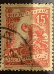 Yugoslavya Pulu - Yugoslavia Stamp - Mektup Zarfından Kesilmiş  / Postadan Geçmiş Pul Filateli - DAMGALI - AYÇİÇEĞİ TOPLAYAN KÖYLÜ KADIN TEMALI - Yugoslavya Pulu, 15 PARA - YABANCI PULLAR-NOSTALJİK DOĞUM GÜNÜ HEDİYESİ