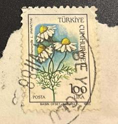 Mektup Zarfından Kesilmiş / Postadan Geçmiş Pul Filateli - Beyoğlu Damgalı - PAPATYA TEMALI 1985, 100 LİRA - Türkiye Cumhuriyeti, NOSTALJİK DOĞUM GÜNÜ HEDİYESİ
