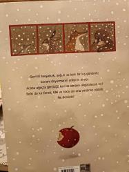 KIRMIZI ELMA (CİLTLİ)