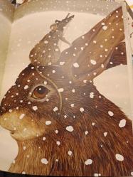 KIRMIZI ELMA (CİLTLİ)