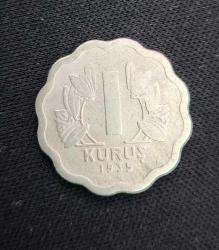 Papatya 1kuruş