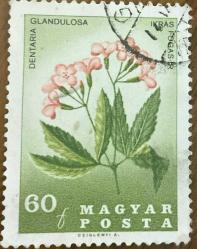 Macaristan Pulu - Magyar Stamp - Mektup Zarfından Kesilmiş  / Postadan Geçmiş Pul Filateli - DAMGALI - ÇİÇEK TEMALI PUL , 60 PARA - YABANCI PULLAR -NOSTALJİK DOĞUM GÜNÜ HEDİYESİ