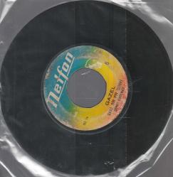 ŞEREF ÜZÜLMEZ - BANA BİR PİR DEDİKİ ( GAZEL ) / KUŞEİ MEYHANE ( GAZEL ) 45'LİK PLAK