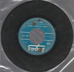 GÜNERİ TECER / GÜL AĞACI DEĞİLEM - NİÇİN ALLAHIM NİÇİN / 45LİK PLAK