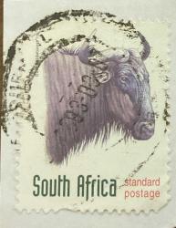 Güney Afrika Pulu - South Africa Stamp - Mektup Zarfından Kesilmiş  / Postadan Geçmiş Pul Filateli - Damgalı - MAVİ ANTİLOP TEMALI PUL 1988 - YABANCI PULLAR - NOSTALJİK DOĞUM GÜNÜ HEDİYESİ