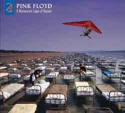 Pink Floyd - A Momentary Lapse Of Reason Remixed & Updated ( 2 'li Plak ) Ambalajında