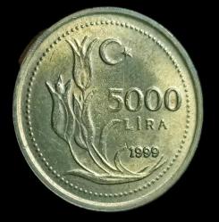1999 5000 Lira Çil küçük 3.50g