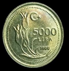 1999 5000 Lira Çil küçük 3.50g