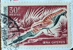 COTE D'IVOIRE STAMP  - Fildişi Sahili Pulu - Mektup Zarfından Kesilmiş  / Postadan Geçmiş Pul Filateli - Damgalı - YABANİ KUŞ TEMALI PUL, 30 PARA - YABANCI PULLAR -NOSTALJİK DOĞUM GÜNÜ HEDİYESİ