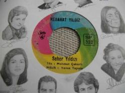 H2 -NEBAHAT YILDIZ - Seher yıldızı - Evleri asmalıdır