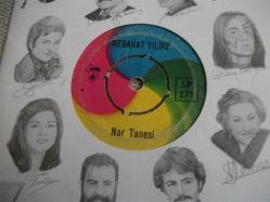 N - NEBAHAT YILDIZ - Nar tanesi - Madımak