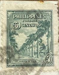 Filipinler Pulu - Philippines Stamp - Mektup Zarfından Kesilmiş  / Postadan Geçmiş Pul Filateli - DAMGALI - COLONNADE PALMİYE AĞAÇLARI TEMALI PUL , 50 PARA - YABANCI PULLAR- NOSTALJİK DOĞUM GÜNÜ HEDİYESİ