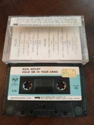 Hold Me In Your Arms Rick Astley
