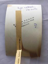 EFSANE MÜZİK GRUBU BEYAZ KELEBEKLER'İN ÇOK NADİR 5'Lİ ORİJİNAL FOTOĞRAF SETİ, 14 x 9 cm EBADINDA, SİYAH & BEYAZ - BEYAZ KELEBEKLER'İN KAZADA KAYBETTİKLERİ ARKADAŞLARI İÇİN TARSUS'TA ESHAB-I KEHF MAĞARASINDA DUA EDİP MUM YAKARLARKEN VE HACCA GİTME KARARI ALIRKEN ÇEKİLEN 5 FARKLI KARE, SEVİL ÖZYURT, TURGUT AKYÜZ, ERCÜMENT ATEŞ, ENDER AKACAN, İRFAN KAYRAL, 1970'LER