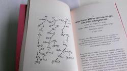 Daha Ne Olsun - mezuniyet konuşmaları
